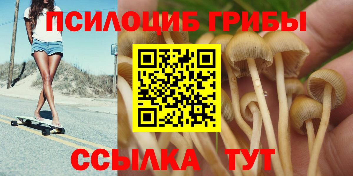 Галлюциногенные грибы Psilocybine cubensis Шадринск